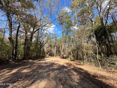 Highway 500, Lena, MS 39094 photo 11
