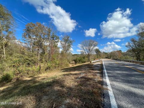 Highway 500, Lena, MS 39094 photo 17