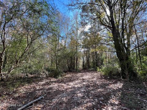 Highway 500, Lena, MS 39094 photo 12