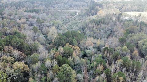 Highway 500, Lena, MS 39094 photo 21