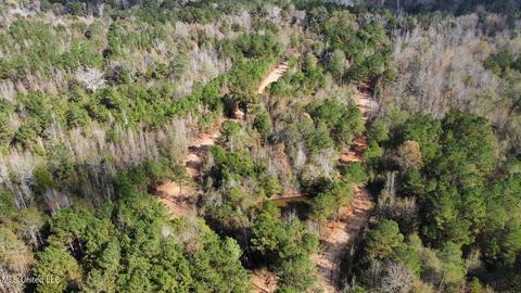 Highway 500, Lena, MS 39094 photo 20