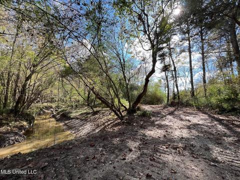 Highway 500, Lena, MS 39094 photo 15