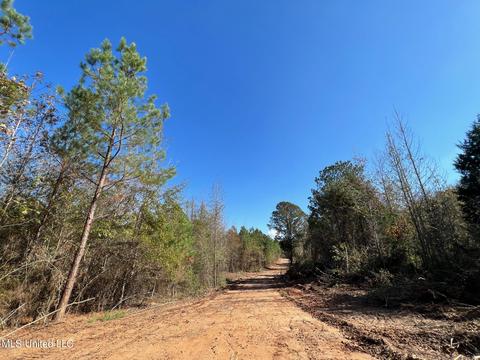 Highway 500, Lena, MS 39094 photo 3
