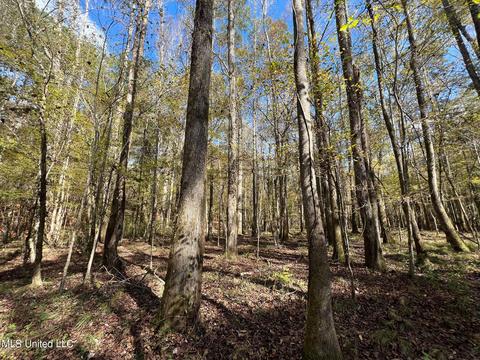 Highway 500, Lena, MS 39094 photo 10