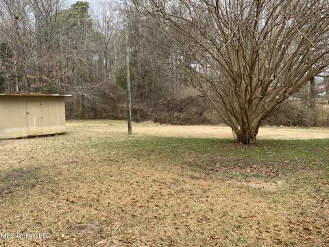 18153 Emory Rd, West, MS 39192 photo 13