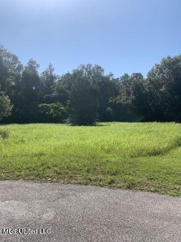 Patrick Lane, Vancleave, MS 39565