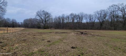 885 Mcclyde Rd, Como, MS 38619