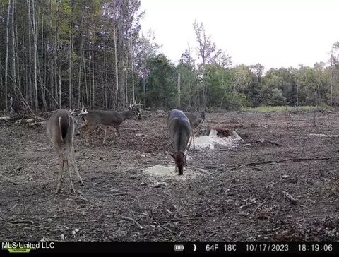 County Road 4101, Sallis, MS 39160 photo 35