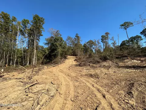 County Road 4101, Sallis, MS 39160 photo 20
