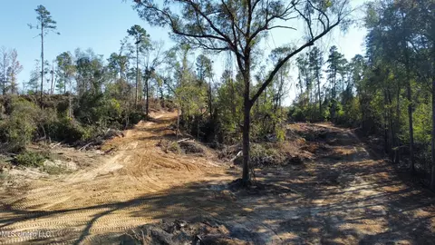 County Road 4101, Sallis, MS 39160 photo 33