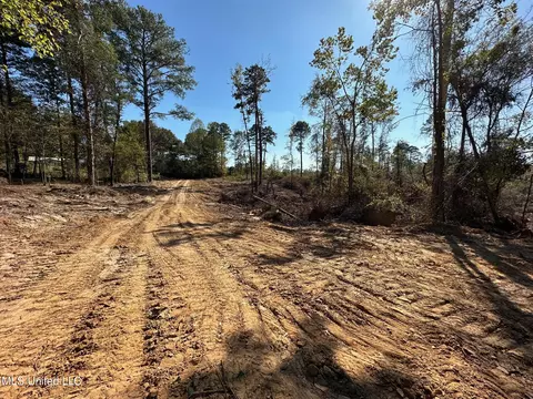 County Road 4101, Sallis, MS 39160 photo 22