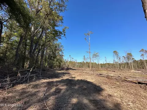County Road 4101, Sallis, MS 39160 photo 9