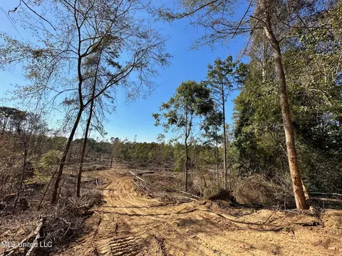 County Road 4101, Sallis, MS 39160 photo 24