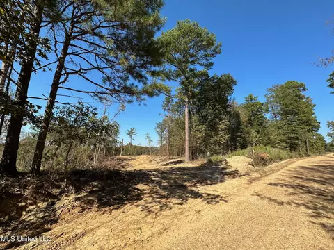 County Road 4101, Sallis, MS 39160 photo 23