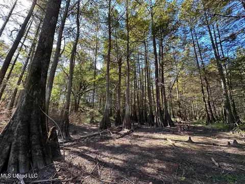 County Road 4101, Sallis, MS 39160 photo 15