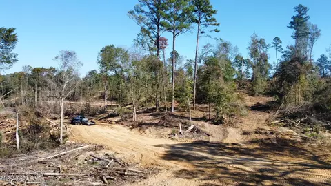 County Road 4101, Sallis, MS 39160 photo 34