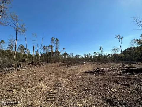 County Road 4101, Sallis, MS 39160 photo 11