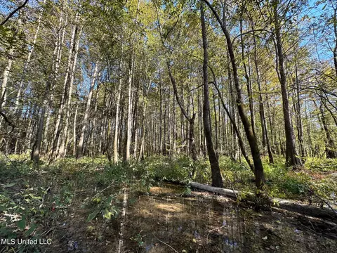 County Road 4101, Sallis, MS 39160 photo 19