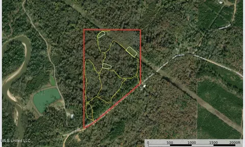 County Road 4101, Sallis, MS 39160 photo 38