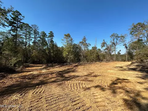 County Road 4101, Sallis, MS 39160 photo 6