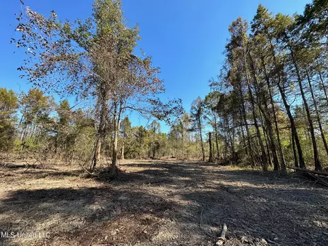 County Road 4101, Sallis, MS 39160 photo 12
