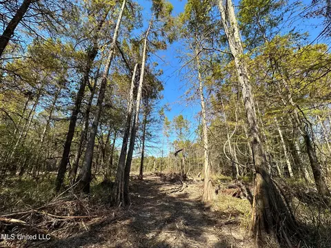 County Road 4101, Sallis, MS 39160 photo 13