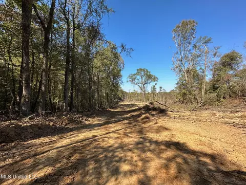 County Road 4101, Sallis, MS 39160 photo 7