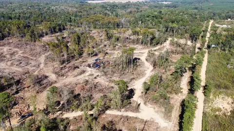 County Road 4101, Sallis, MS 39160 photo 26