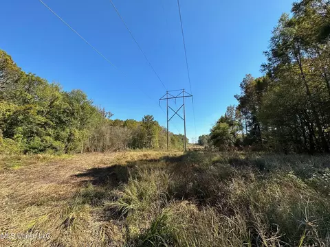County Road 4101, Sallis, MS 39160 photo 18