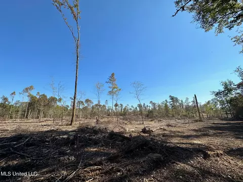 County Road 4101, Sallis, MS 39160 photo 10