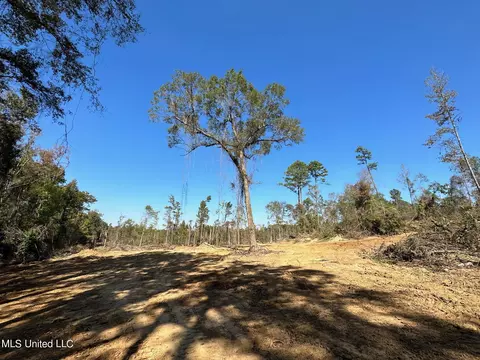 County Road 4101, Sallis, MS 39160 photo 8