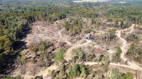 County Road 4101, Sallis, MS 39160 photo 25