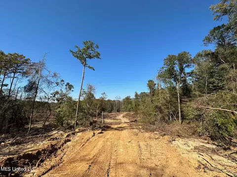 County Road 4101, Sallis, MS 39160 photo 21
