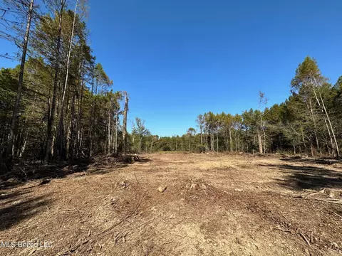 County Road 4101, Sallis, MS 39160 photo 14