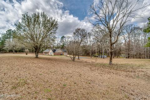 3436 Owens Rd, Terry, MS 39170 photo 5