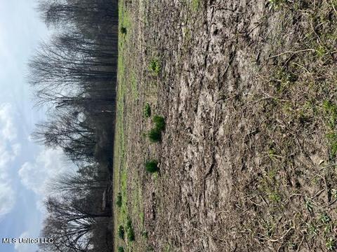 Bolin Rd, Hernando, MS 38632 photo 9