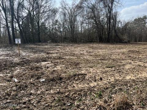 Bolin Rd, Hernando, MS 38632 photo 2
