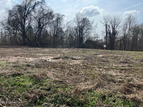 Bolin Rd, Hernando, MS 38632 photo 6