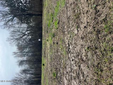 Bolin Rd, Hernando, MS 38632 photo 7