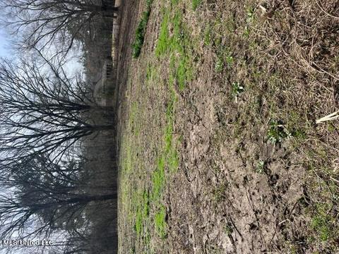 Bolin Rd, Hernando, MS 38632 photo 8