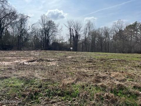 Bolin Rd, Hernando, MS 38632 photo 4