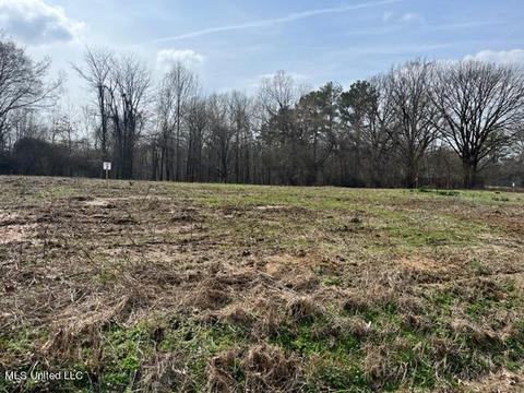 Bolin Rd, Hernando, MS 38632 photo 5