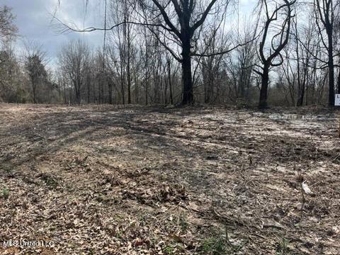 Bolin Rd, Hernando, MS 38632 photo 3