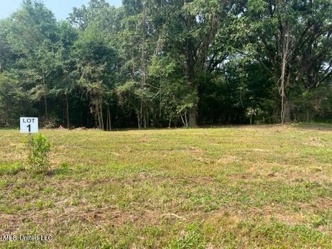 1 Bolin Rd, Hernando, MS 38632 photo 7