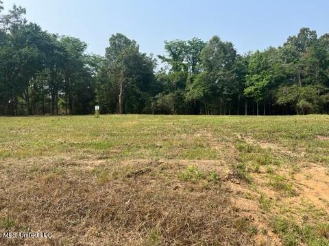 1 Bolin Rd, Hernando, MS 38632