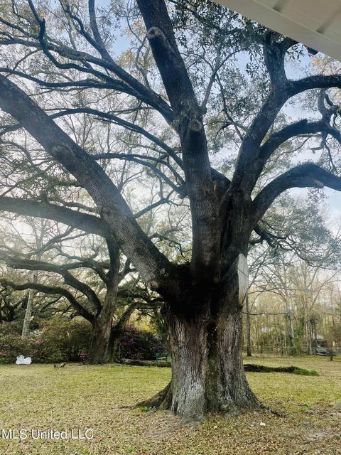 6228 Mccormack Rd, Moss Point, MS 39562 photo 6