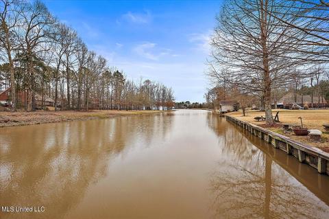 483 Wimbledon Dr, Brandon, MS 39047 photo 67