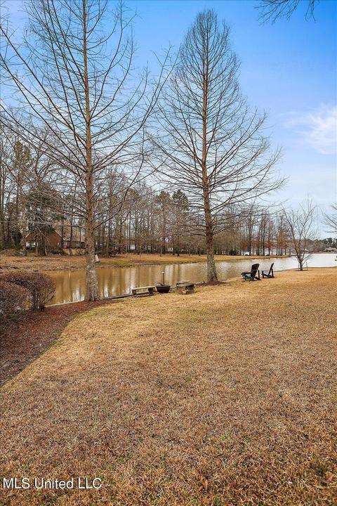 483 Wimbledon Dr, Brandon, MS 39047 photo 60