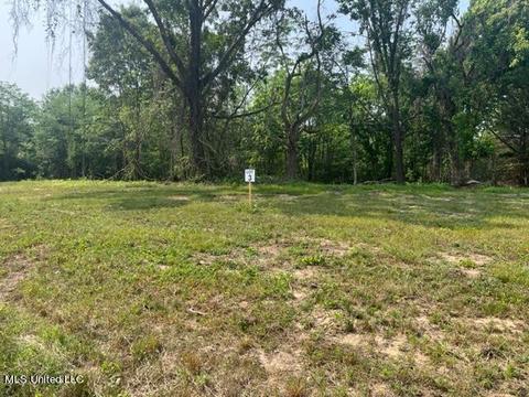 2 Bolin Rd, Hernando, MS 38632 photo 3
