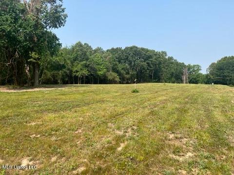2 Bolin Rd, Hernando, MS 38632 photo 4
